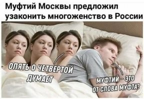 Прикольные и смешные картинки