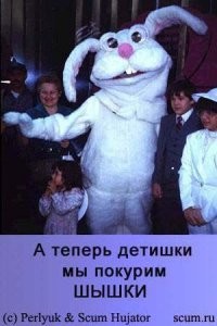 20 занимательных вещей, про которые многие знают, но видели единицы