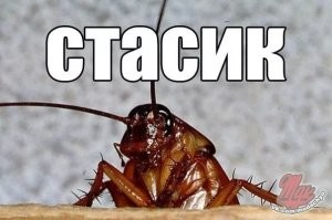 мы не принцессы, у нас все по простому