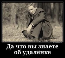 Удаленка 2.0: пользователи соцсетей раскрывают все карты