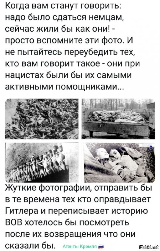 Политические комментарии из инета