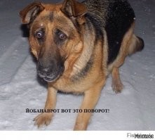 Бабка походу ушиблась башкой об учебники