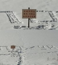 Прикольные и смешные картинки