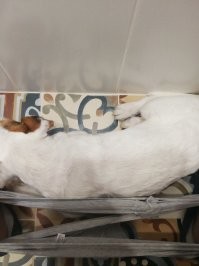 Ну вот как-то так)