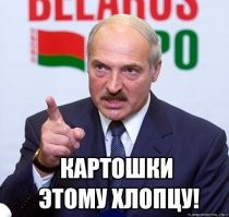 10 занимательных научных исследований, в которые сразу сложно поверить