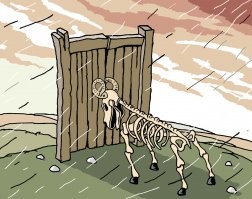 И смех и грех: аккаунт Пенелопы Крус атаковали азербайджанцы, обидевшиеся за флаг Колумбии