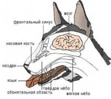 Американка и ее сын покорили интернет своими взглядами