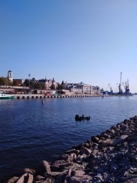 Никаких руин в Выборге не видел, по крайней мере неделю назад. Друг рассказывал что город масштабно реставрируется. Дорога на выборгском направлении расширяется. Красивый, уютный город. Замечательные люди !