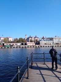 Никаких руин в Выборге не видел, по крайней мере неделю назад. Друг рассказывал что город масштабно реставрируется. Дорога на выборгском направлении расширяется. Красивый, уютный город. Замечательные люди !