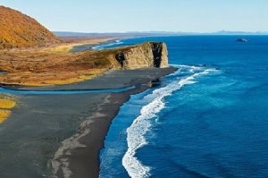 большая черепаха