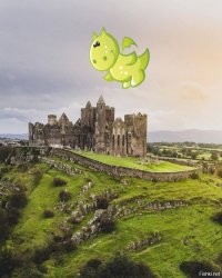 такой пойдет?..