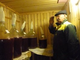 Виноделом стать так и не получилось