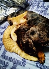 Мои