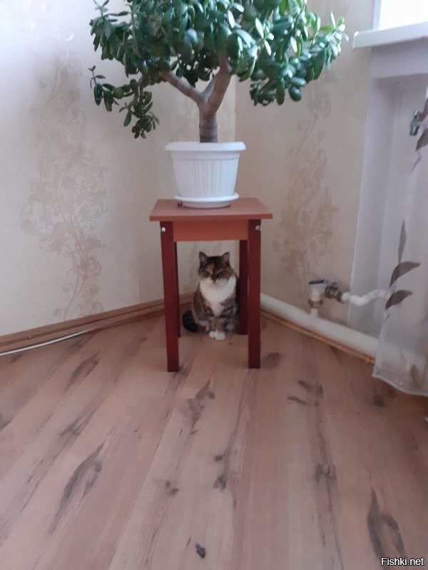 В частном доме.