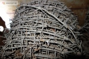 А так будет выглядеть гибрид ужа и ежа: