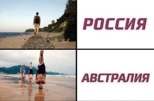 2-летняя Коко - самая маленькая скейтерша и сноубордистка