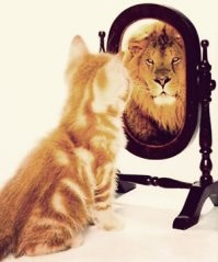 Кот везде шикарен, на то он и кот.