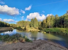 Недавно с семьей гуляли по Охтинскому лесопарку (окраина СПб на границе с Ленобластью). Через парк проходит железная дорога. Поезда не то, чтобы туда-сюда снуют, но могут раз-другой за час пройти. Дорога по насыпи проходит, через нее гуляющие постоянно перелезают. А вокруг места красивейшие! Вот мы тоже через дорогу перевалили, неспешно к дому двигаем. Тут очередной поезд подъезжает и начинает истошно (как на видео) сигналить, а через минуту слышим истошный детский крик...
На выходе из парка нас догнала женщина, обнимавшая рукой безутешно рыдающего мальчика лет 10, а в другой руке у нее - собачий ошейник. А вот собаки то с ними не было.
Дочка моя впечатлительная - весь вечер проревела.