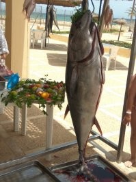 Вот такого в Тунисе полтора года назад давали на оллинклюзиве. Можно было тупо в столовую идти на обед, а можно было прямо возле пляжа на гриле зависнуть. Просто отрезали кусочки и жарили.