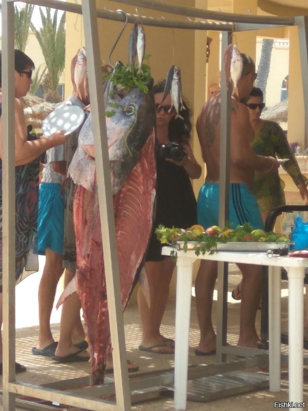 Вот такого в Тунисе полтора года назад давали на оллинклюзиве. Можно было тупо в столовую идти на обед, а можно было прямо возле пляжа на гриле зависнуть. Просто отрезали кусочки и жарили.