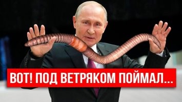 О первой ветряной электростанции Юго-Восточной Азии