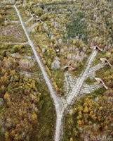 Так вот он какой, Shire (Middle-earth)