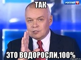 "Ради денег!": в РАН раскритиковали доклад Greenpeace по Камчатке