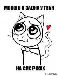 Премьер-министр обнародовала нескромную фотку, и финки ее поддержали