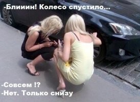 "Вот ведь дуры!": глупые женские выходки, от которых мужики выпадают в осадок