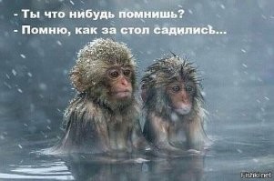 Курьезные фото из дикой природы, которые были сделаны в "удачный" момент