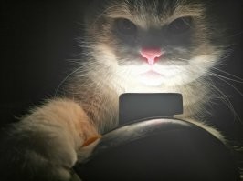 Не злите дедушку - дедушка умеет убивать: Случай с ветераном ВОВ