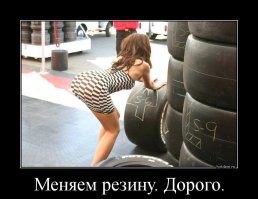 Прикольные и смешные картинки