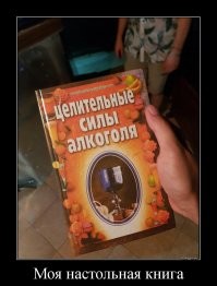 Прикольные и смешные картинки