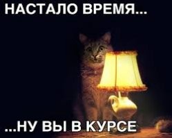 Статусы шматусы