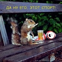 Сколько жмешь? Шведский фотограф заснял забавную белку-качка
