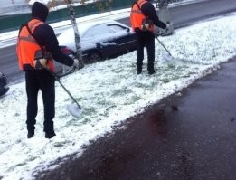 Ты верно думал раньше, оставайся далее с этими знаниями - это непреложная истина,! Донеси её до своих детей!

От себя добавлю: это ещё и прекрасная мульча.

А вот зачем ОНИ так делают - можно порассуждать...
Явно не в ботанических целях. Скорее всего тупо исполняют указание:
"Убрать тут всё начисто! Шоб красиво было!" 
Вот и стараются, как понимают, слова чистота и опрятность.
Как издавна у нас заведено - перегибы на местах не редкость. Но служба в армии приучает не задавать вопросы, а выполнять поставленные задачи! 
В дворники, стопудово идут люди, не особо отягощённые интеллектом, не откосившие от службы.
Армейские байки слышал? Как они жёлтую траву перед приездом комиссии в зелёный цвет красят, снег в кубики укладывают и плац ломами подметают? Так вот, многое из этих баек и не байки.
Это сильно угнетает волю к рассуждениям: А зачем это делать?
Сказано копать от забора до обеда - умри, но сделай!

И мы, уже на гражданке, можем наблюдать этих прошедших специальное обучение людей в деле. 
Например в таком: