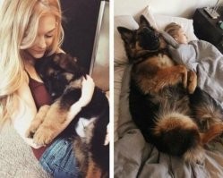 Девушки и их питомцы