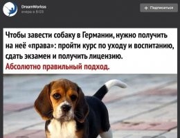 Автор жил в Германии? Заводил там собаку?
если это первая собака и она крупной породы, либо бойцовская (есть полный перечень пород и четкая трактовка, что значит собака крупной породы - масса взрослой особи более 20 кг и высота в холке что-то там, не помню уже из письма из Бюргербюро), то будьте любезны в Hundeschule (собачья школа).
Более того, если заводишь бойцовскую породу и ты не официально зарегистрированный питомник/заводчик (Züchter), то обязан своего потенциального убивцу стерелизовать.

Никто, конечно, не придет к тебе с проверкой, но  если случится что-либо, а за собачий век в 10-14 лет какая-нидь хрень обязательно случиться, то в зависимости от того, насколько ты забил на федеральные/региональные законы, будет и вердикт.
В одном случае отделаешься компенсацией ущерба, в другом изымут животинку. Либо, имея страховку, страховая может отказать в выплате.