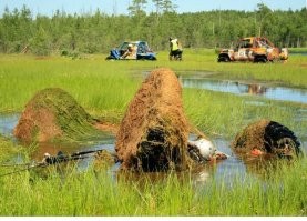 Печальное зрелище: брошенный в лесу Land Cruiser весь порос мхом