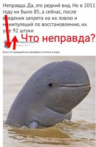 Бейте их, гоните их тряпками: 20 фейков, которые должны быть изгнаны