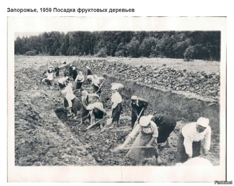 Советский Союз на фотографиях из одного небольшого западного архива