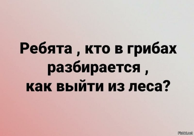 Солянка от 17.10.2020
