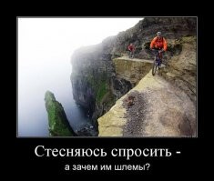 Прикольные и смешные картинки