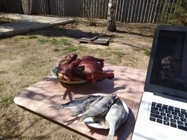 Коптильня холодного копчения своими руками: чертежи и варианты