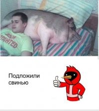 15 человек, которые не ждали, а жизнь подложила им свинью