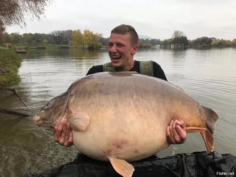 Солянка от 17.10.2020