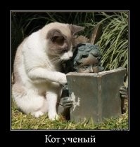 Девушки, которые любят читать