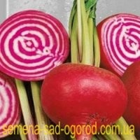 И буряк должен быть борщевой, а не свекла красная. Иначе получится ото красное варево что у афтора в конце опуса.