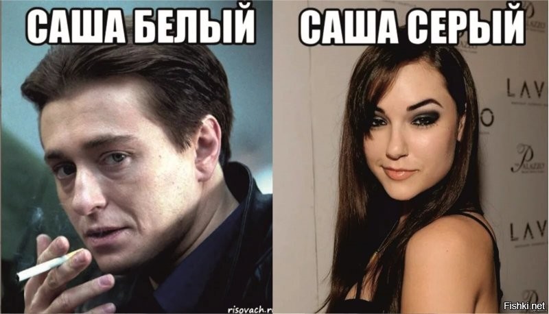 Вот они