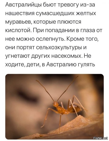 санкции когда?...